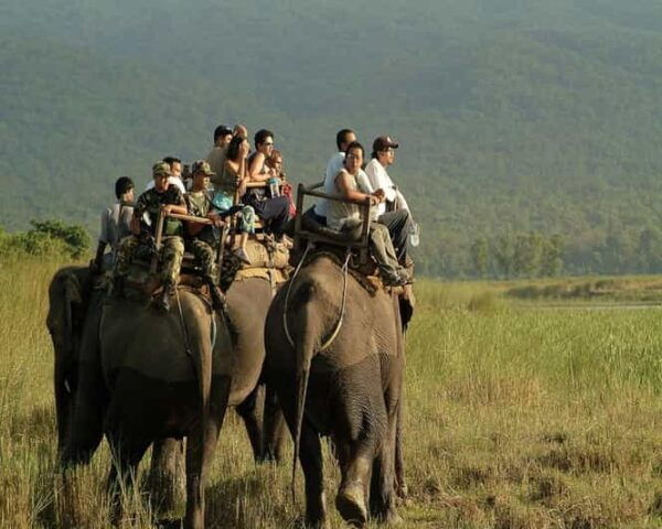 World Heritage Expedition 2024: Ancient Wonders of History - Questions You May Have