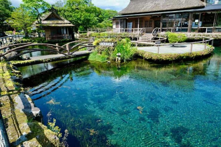 World Heritage! Fuji, Niikura-Sengen Shrine, Oshino-Hachikai - Itinerary Details