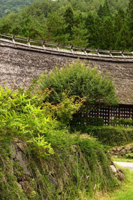 World Heritage! Fuji, Niikura-Sengen Shrine, Oshino-Hachikai - Exploring Oshino Hakkai