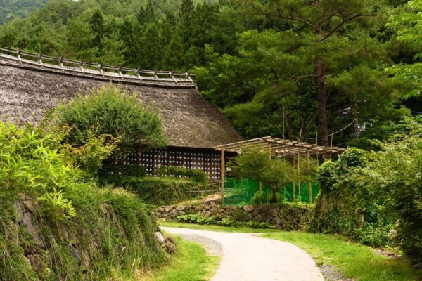World Heritage! Fuji, Niikura-Sengen Shrine, Oshino-Hachikai - Booking and Cancellation Policy