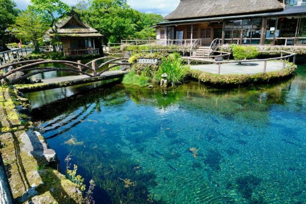 World Heritage! Fuji, Niikura-Sengen Shrine, Oshino-Hachikai - Frequently Asked Questions