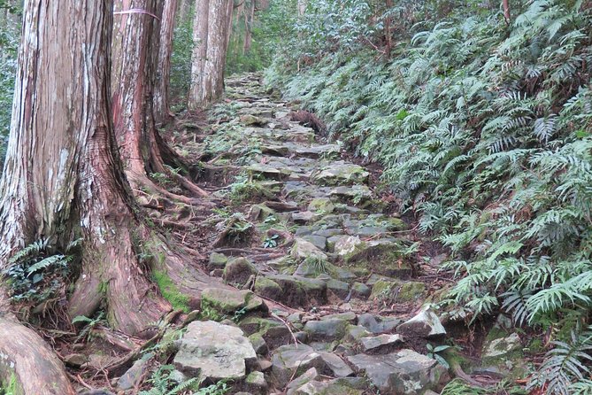 World Heritage Hiking - Guided Hike Experience