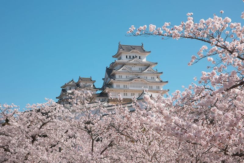 World Heritage Himeji Castle & Akashi Kaikyo Bridge Walking Tour - Trains, timing, and the full-day rhythm