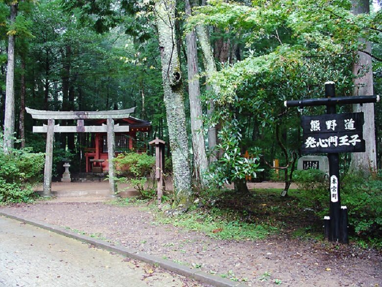 World Heritage KumanoKodo Hiking Tour - What the half-day schedule looks like