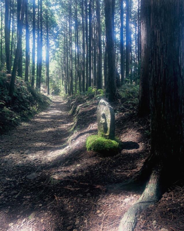 World Heritage KumanoKodo Hiking Tour - Guides can make the sacred sites easier to read