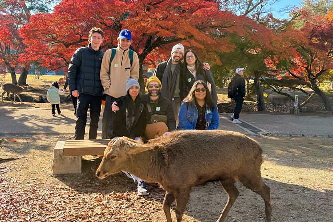World Heritage Kyoto & Nara Uji Authentic Matcha Experience - Accessibility and Requirements