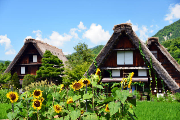 World Heritage Shirakawa-go and KanazawaTour by Professional guide - A full day from Kanazawa, not a quick village visit