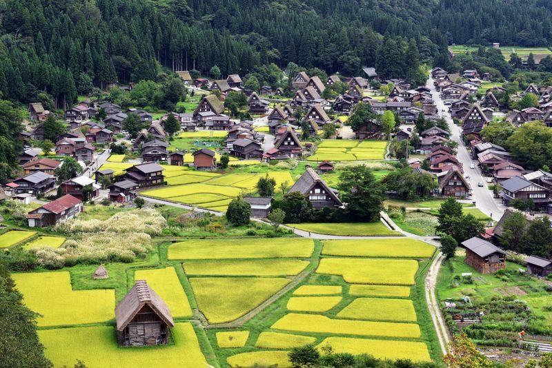 World Heritage Shirakawa-go and KanazawaTour by Professional guide - Higashi Chaya and gold leaf in Kanazawa