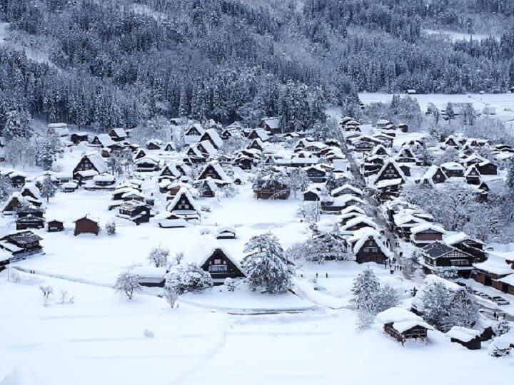 World Heritage Shirakawago and Takayama Private Tour from Nagoya - The value of a guide and car