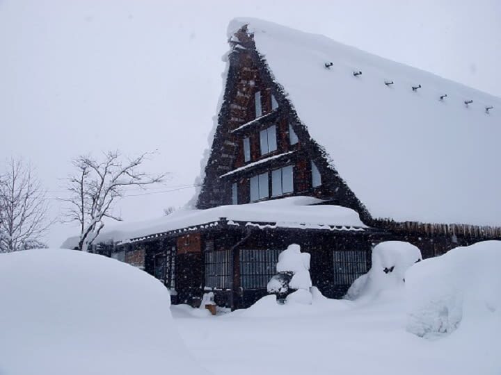 World Heritage Shirakawago and Takayama Private Tour from Nagoya - A long day, with self-guided stops