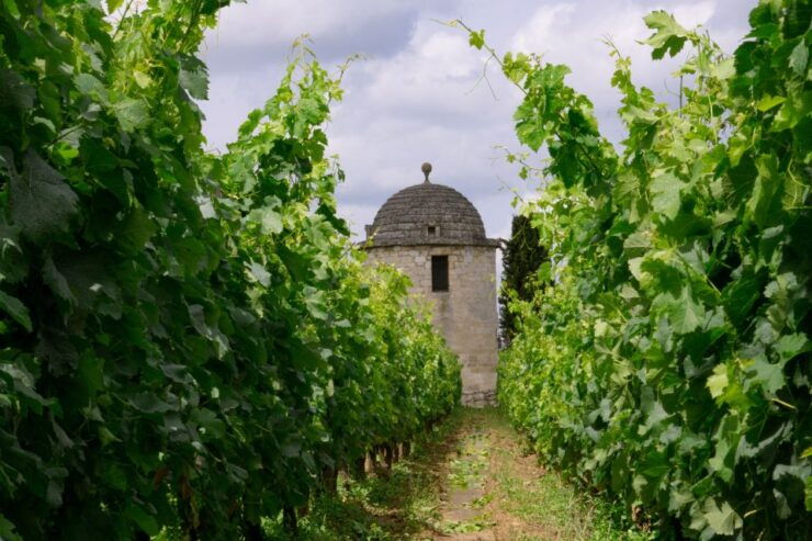 World Heritage Sites & Wineries of Saint Emilion With Lunch - Pricing and Duration