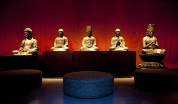 World Museum Leiden: Entrance Ticket - Common Questions