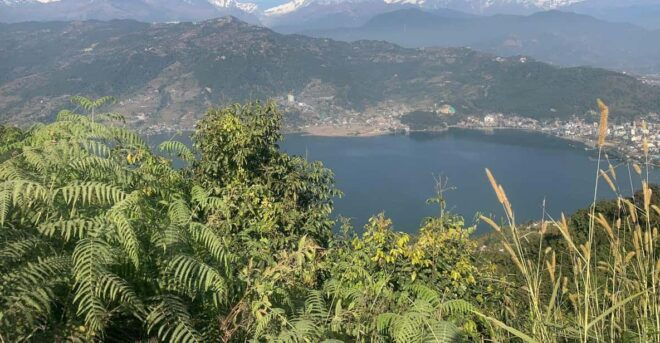 World Peace Pagoda Forest Hike - Itinerary Highlights