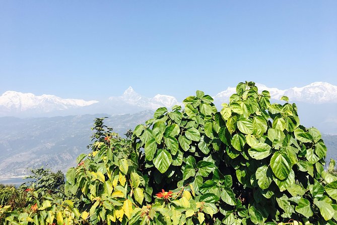 World Peace Stupa Day Hike From Pokhara - Overview and Inclusions