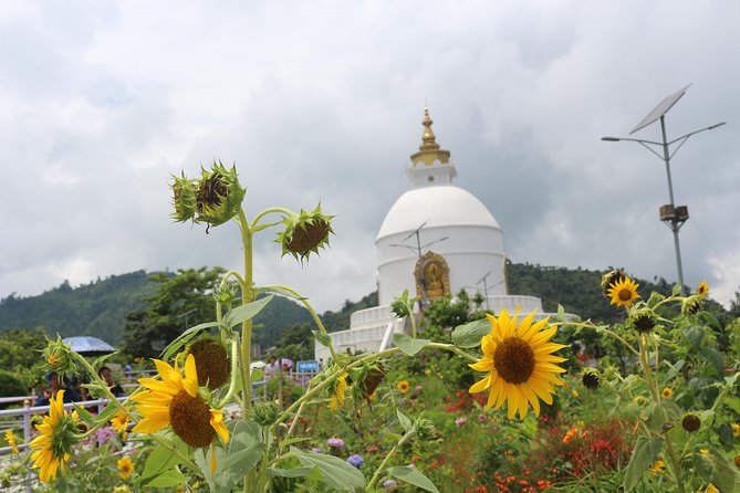 World Peace Stupa Hiking From Lakeside - Discovering Peace and Serenity at the Stupa