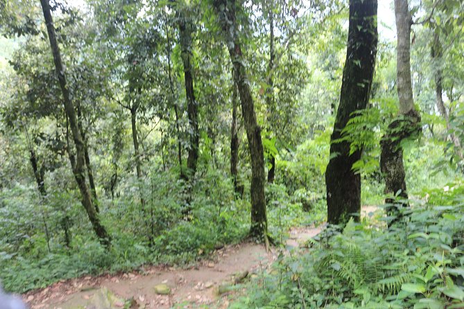 World Peace Stupa Hiking From Lakeside - Return Journey and Reflections on the Experience