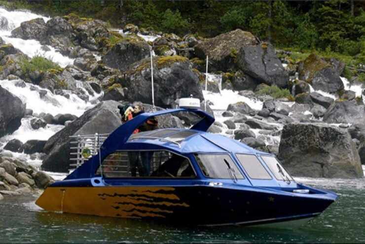 Wrangell: Leconte Glacier Boat Tour - Experience Highlights and Wildlife Spotting