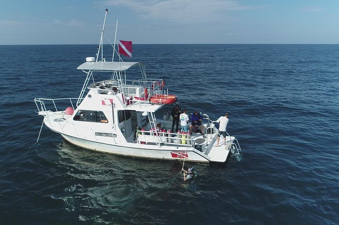 Wreck and Bridge Span Dive Charter for Certified Divers - Overview and Inclusions