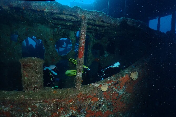 Wreck and Bridge Span Dive Charter for Certified Divers - Additional Information