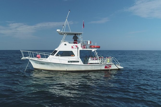 Wreck and Bridge Span Dive Charter for Certified Divers - Booking and Availability