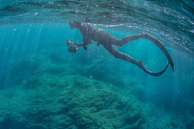 Wreck Snorkeling - Location Details