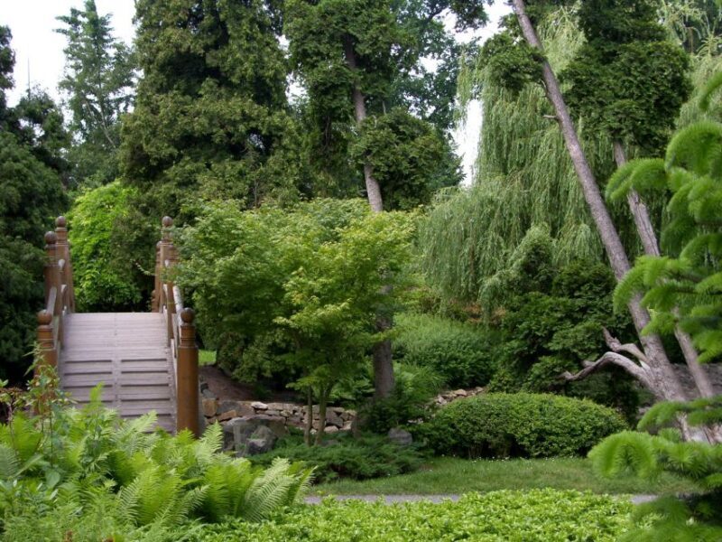 Wrocaw: 3-Hour Steamboat Tour with Centennial Hall UNESCO - Japanese Garden (20 Minutes Guided Tour)  