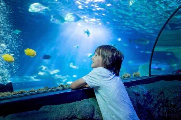 Wrocław: 3-Hour Guided Tour for Children - Interactive Sightseeing Activities