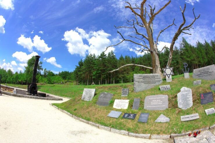 Wroclaw: Private Gross-Rosen Concentration Camp Trip - Trip Details