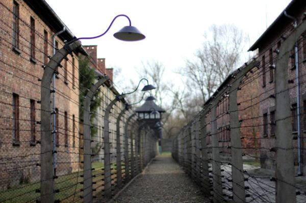 Wroclaw to Auschwitz-Birkenau Private Full-Day Trip by Car - Group Size and Communication