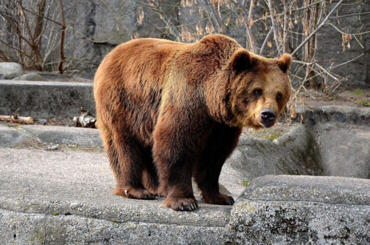 Wroclaw: Zoo With Private Transport and Tickets - Experience at the Zoo