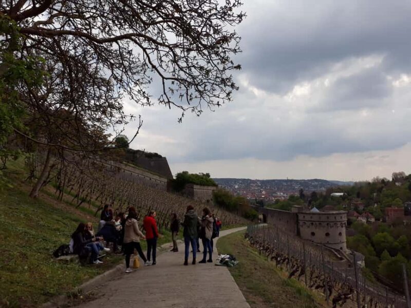 Wuerzburg: Wine mountain rally with wine tasting and group dynamics - Wuerzburg: Wine Mountain Rally with Wine Tasting and Group Dynamics — A Deep Dive