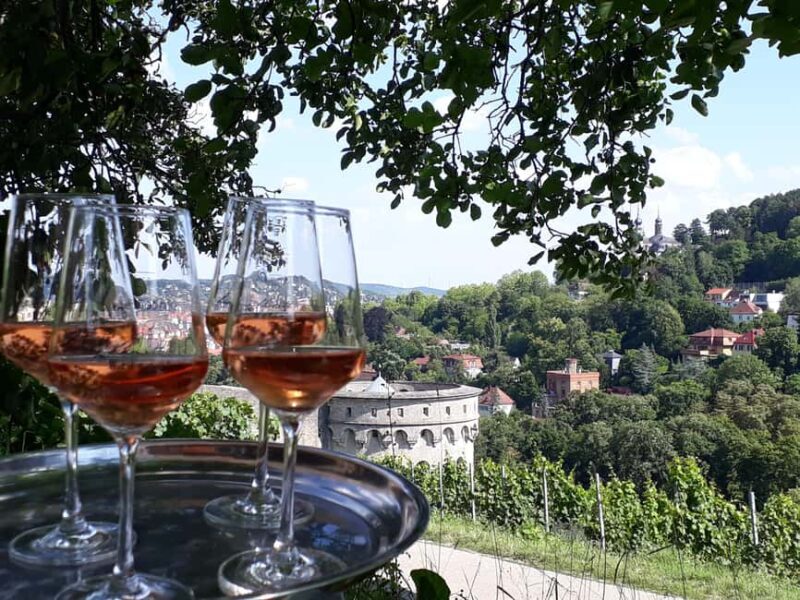 Wuerzburg: Wine mountain rally with wine tasting and group dynamics - Good To Know