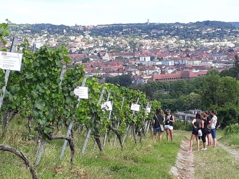 Wuerzburg: Wine mountain rally with wine tasting and group dynamics - Final Thoughts