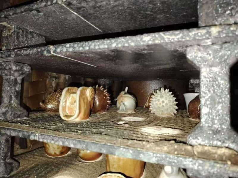 Wuhan: 3-Day Jingdezhen Pottery Tour with Rail & Hotel - Practical Details: Transportation, Group Size, and Value