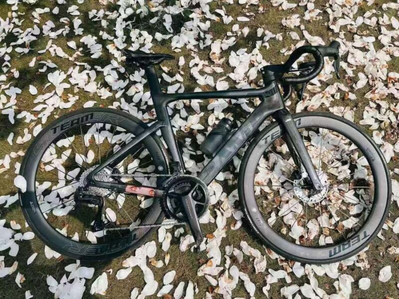 Wuhan: East Lake Guided Bike Tour with Gift Pack - What Makes This Tour a Great Choice?