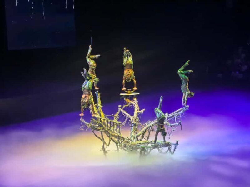Wuhan: Han Show VIP Ticket, Chu River Tour & Dinner - The Han Show: A Spectacle of Art and Engineering