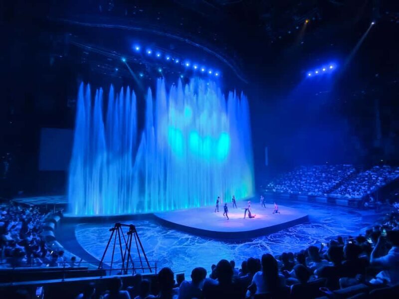 Wuhan: Han Show VIP Ticket, Chu River Tour & Dinner - High-End Dinner at SKP