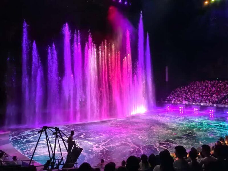 Wuhan: Han Show VIP Ticket, Chu River Tour & Dinner - Authentic Insights from Past Participants