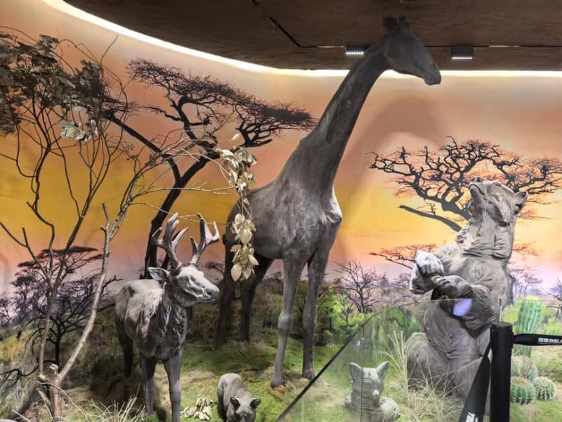 Wuhan: Hankou Night Tour with Craft Beer Tasting - Good To Know