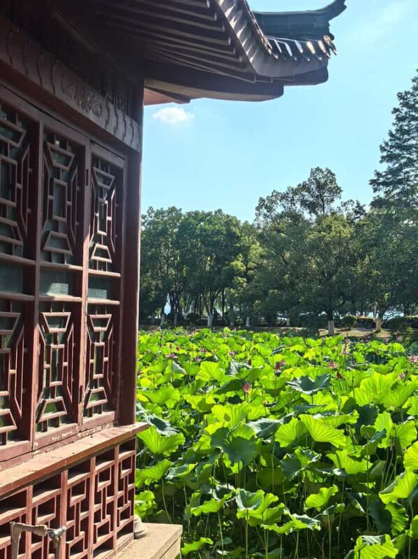 Wuhan Tianhe International Airport - Wuhan East Lake Moshan - Seasonal Highlights and Biodiversity