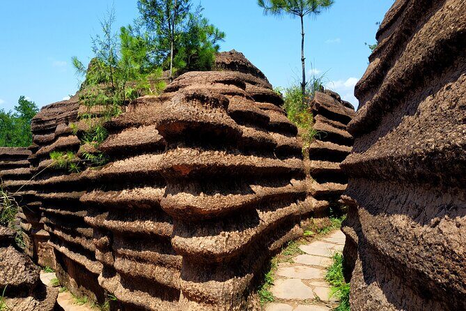 Wulong karst+Red stone National Park 3-days Private tour-Extension - Who Is This Tour Best For?