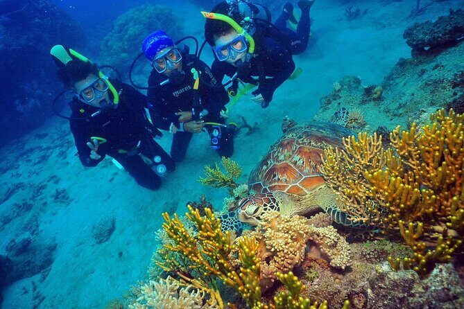 Wunyami Cultural Tour on Green Island's Eco Adventure - Good To Know