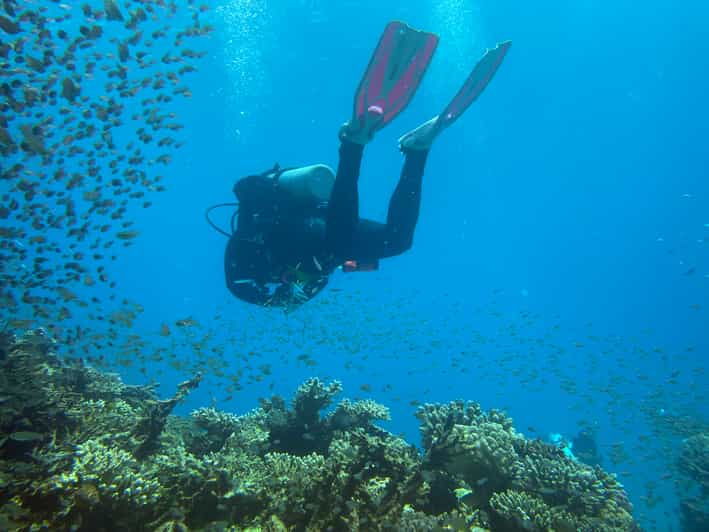 Wuppertal: Beginners Diving Course With Certified Instructor - Key Points