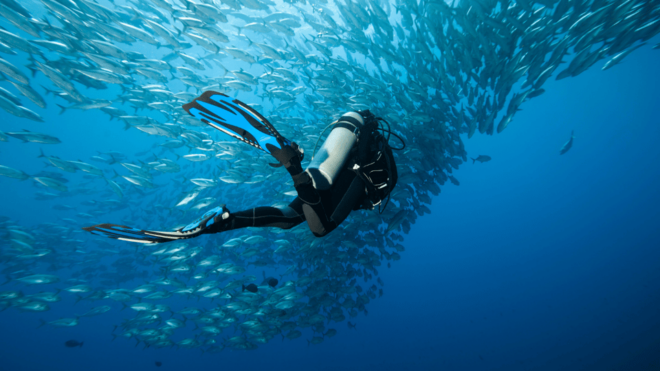 Wuppertal: Beginners Diving Course With Certified Instructor - Course Structure