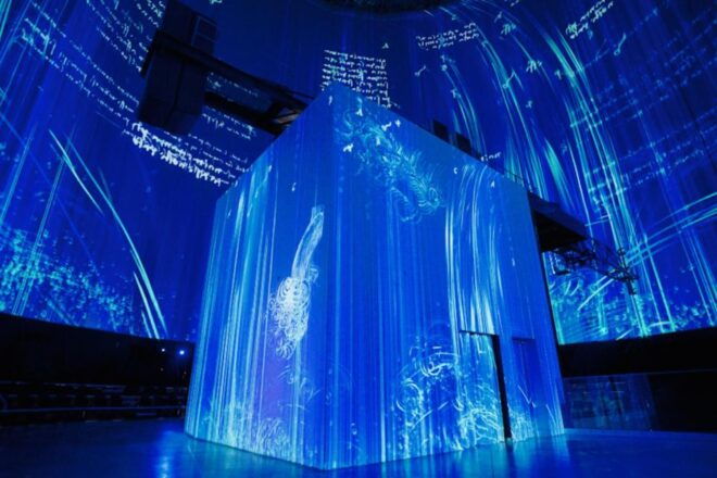 Wuppertal: Visiodrom Immersive Da Vinci Exhibition Entry - Visitor Reviews