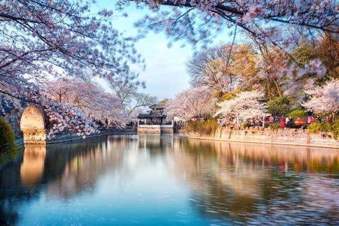 Wuxi Half Day Private Tour to Lingshan Buddhist Scenic Spot - Who Would Love This Tour?