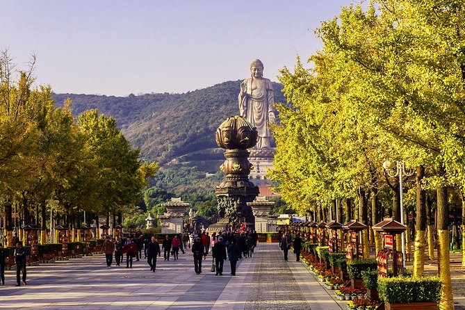 Wuxi Private Day Tour With Lingshan Buddhist Scenic Spot and Taihu Yuantouzhu - Customer Reviews