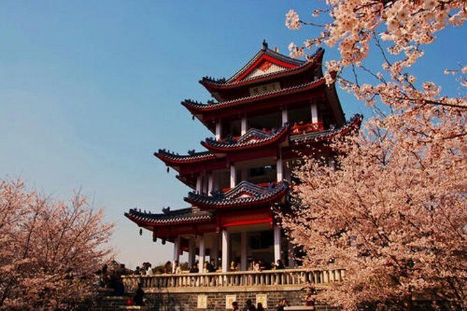 Wuxi Self-Guided Day Tour from Nanjing by Private Car - Exploring Wuxi from Nanjing: A Detailed Look