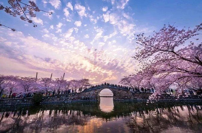 Wuxi Self-Guided Day Tour from Nanjing by Private Car - Who Is This Tour Best For?