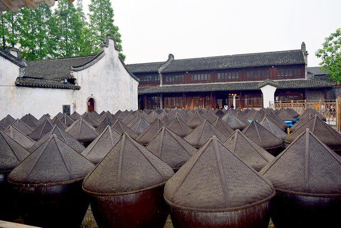 Wuzhen Water Town 2-Day Tour by Bullet Train from Shanghai - Highlights That Make This Tour Stand Out